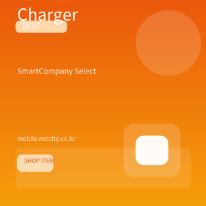 65W GaN 초고속 충전기